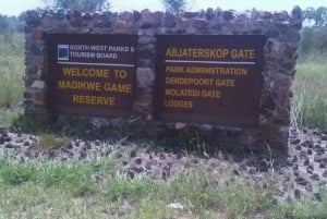 Tour di un giorno alla riserva di caccia di Madikwe