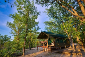 Mankwe Bush Lodge & campsite