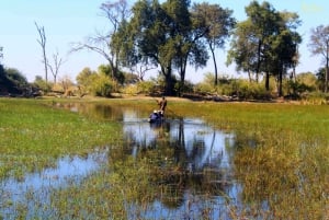 Maun: 7 Day All-Inclusive Guided Game Reserve Expedition