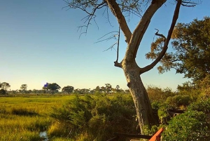 Maun: 8-Day Okavango Delta Safari with Camping