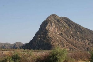 Maun: 8-Day Okavango Delta Safari with Camping