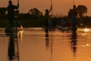 Maun: 8-Day Okavango Delta Safari with Camping