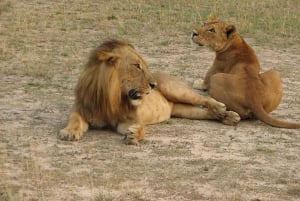 Maun: 8-Day Okavango Delta Safari with Camping