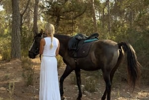 Maun, Botswana: Half Day Guided Horse Back Safari Ride