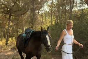 Maun, Botswana: Half Day Guided Horse Back Safari Ride