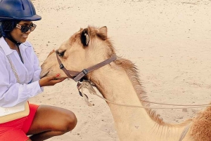 Maun, Botswana: Safari Camel Adventure