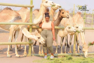 Maun, Botswana: Safari Camel Adventure