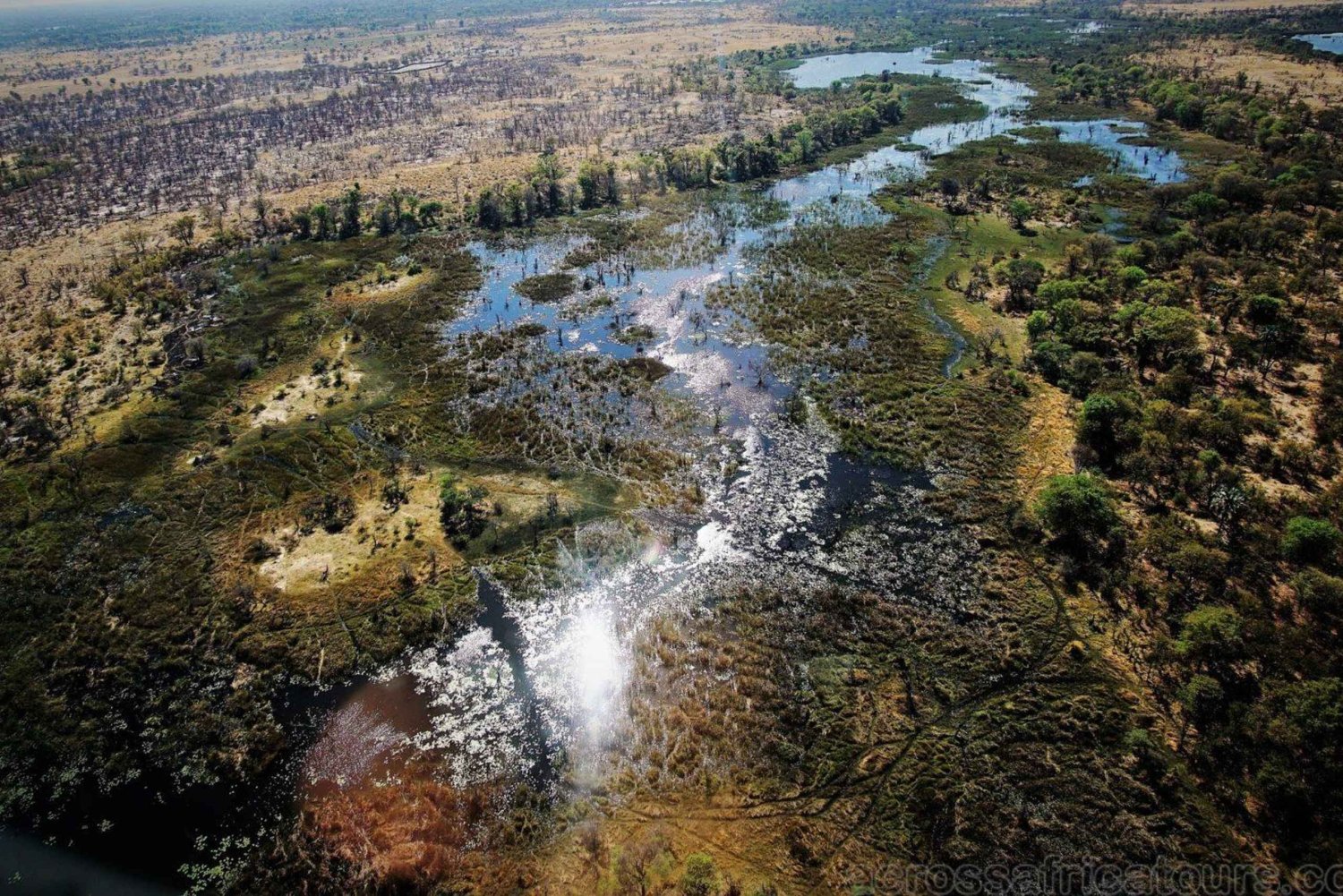 Maun Highlights Safari 3 Tage/2 Nächte