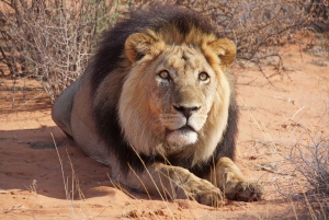 Maun Highlights Safari 3 Days/2 Nights