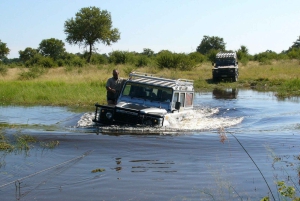 Maun Highlights Safari 3 Days/2 Nights