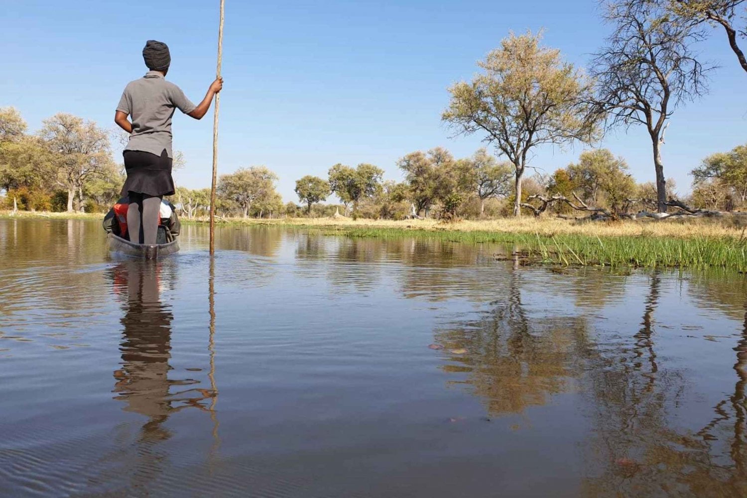 Maun: excursão pelo Delta do Okavango Mokoro e caminhada pelo mato