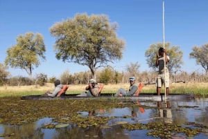 Maun: Okavango Delta Mokoro Tour ja Bush Walk