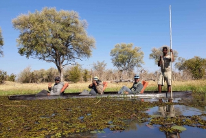 Maun: Okavango Delta Mokoro Tour and Bush Walk