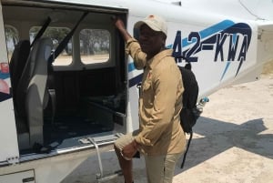 Maun: Vuelo panorámico al Delta del Okavango con servicio de recogida del hotel