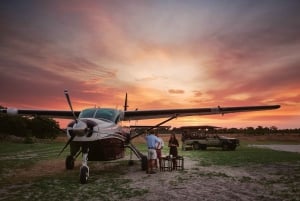 Maun: Vuelo panorámico al Delta del Okavango con servicio de recogida del hotel