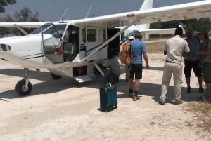 Maun: Vuelo panorámico al Delta del Okavango con servicio de recogida del hotel