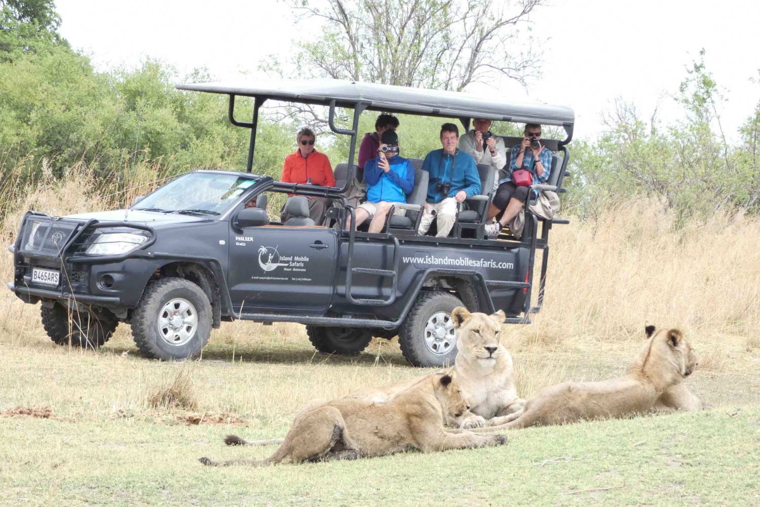 Maun: Overnight Guided Moremi Game Reserve Safari Tour