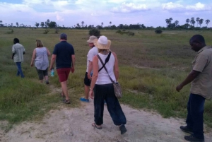 Mokoro Day Trip at the Okavango Delta