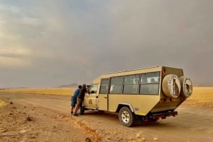 Expédition safari en Namibie et au Botswana
