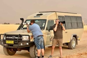 Safari-ekspedition til Namibia og Botswana med vilde dyr