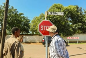 Nr 1 Ladies Detective Agency litterär rundtur : Resa till Gaborone