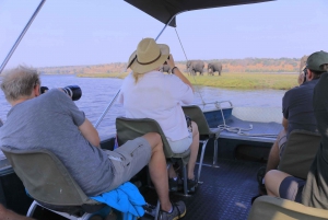 Northern Botswana: Safari with game drives and a boat trip