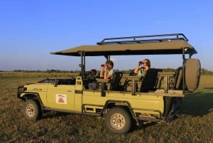 Northern Botswana: Safari with game drives and a boat trip