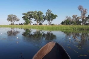 Okavango Delta: 1 Day Mokoro/Canoe Tour all-inclusive