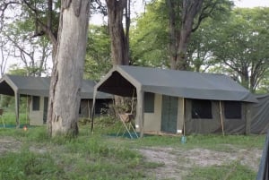 okavango delta and chobe tented safari