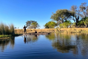 Dagstur til Okavango-deltaet