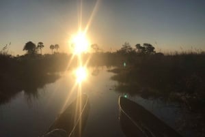 Okavango Delta Day Trip