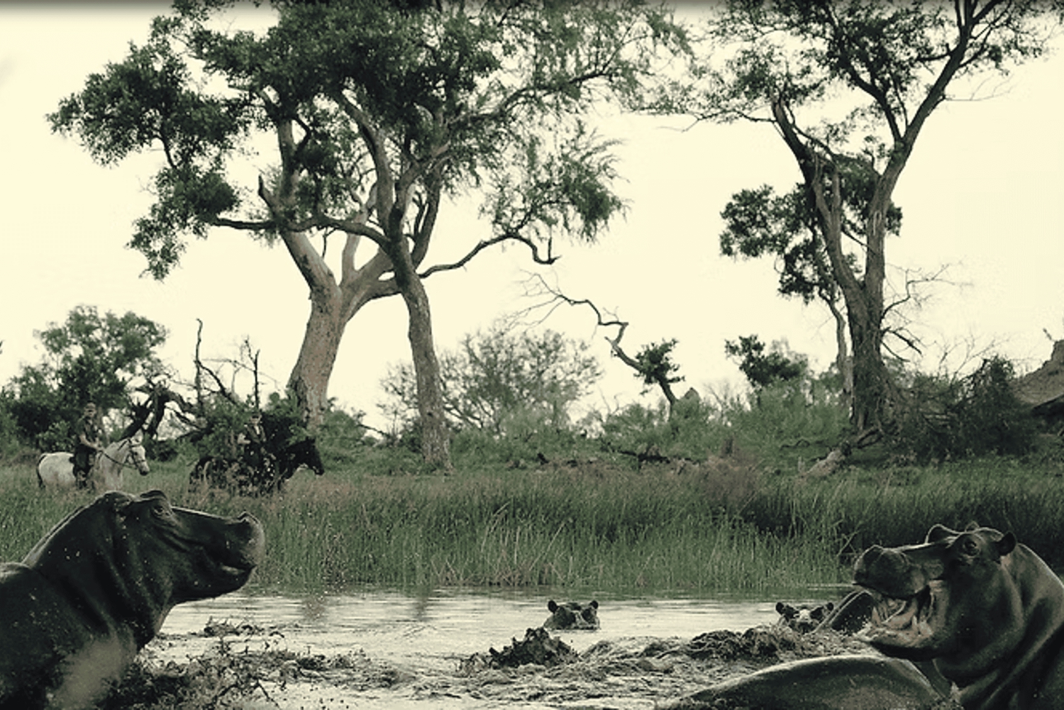 Okavango-Delta: Pferdesafari mit Brunch