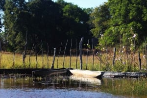 Ab Maun: Tagestour durch das Okavangodelta im Einbaum-Boot