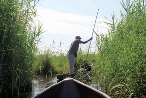 Okavangodeltat: Mokoro Day Tour