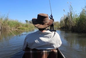 Okavangodeltat: Mokoro Day Tour