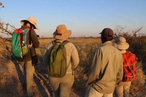 Ab Maun: Tagestour durch das Okavangodelta im Einbaum-Boot