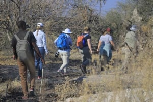 Okavango Delta: Tour mit Pirschfahrten & Mokorofahrten