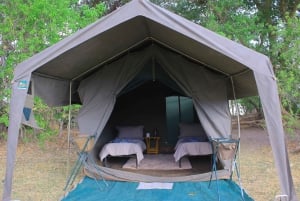 Okavango Delta: Tour mit Pirschfahrten & Mokorofahrten