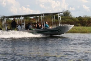 Okavango Delta: Wildlife Boat Tour to Chief's Island