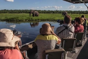 Private Chobe Day Trip