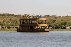 Private Chobe Day Trip