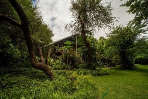 River Tree Lodge