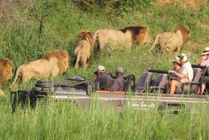 Safari : Full Day Chobe National Park Safari with Lunch