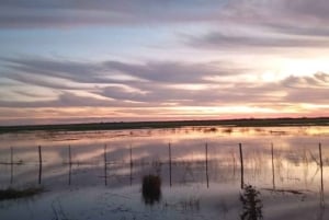 Shakawe: 3-dniowe safari po wschodniej części Okavango
