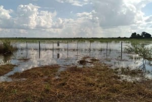 Shakawe: 3-dniowe safari po wschodniej części Okavango