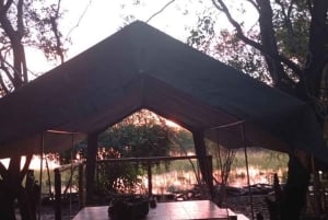 Shakawe: 3-dniowe safari po wschodniej części Okavango