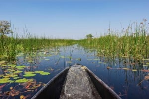 Shakawe: 3-dniowe safari po wschodniej części Okavango