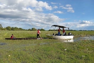 Shakawe: 3-dniowe safari po wschodniej części Okavango