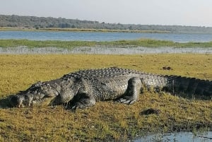 Tour Operator, River Cruises and Safari drives in the Chobe