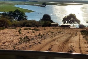 Viagem de 1 dia às Cataratas do Vic - A partir de Kasane